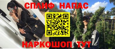 спиды Кинель