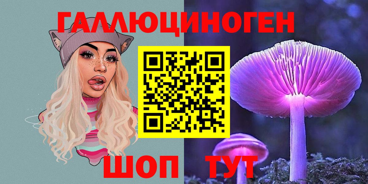 Псилоцибиновые грибы Psilocybine cubensis  Вход с VPN  Ковров 